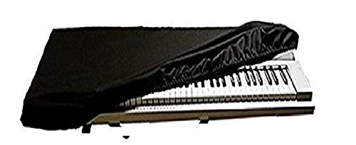 CASIO CTK-2550 61-Keys Standard Keyboard with Keyboard StandAdapterBag and Dust Cover Combo Pack