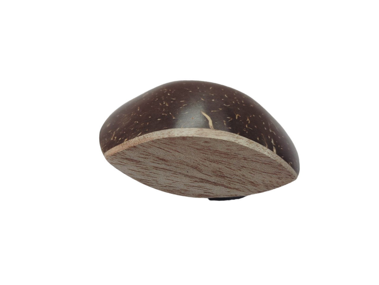 Eye Shaped Mini Coconut Shaker Percussion Pack of 2 Eye Coco Shaker