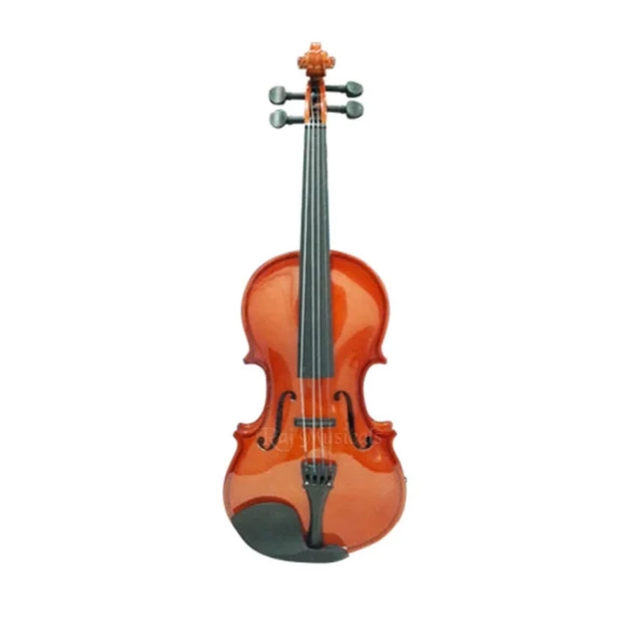 Kaps KV010 Violin With Case