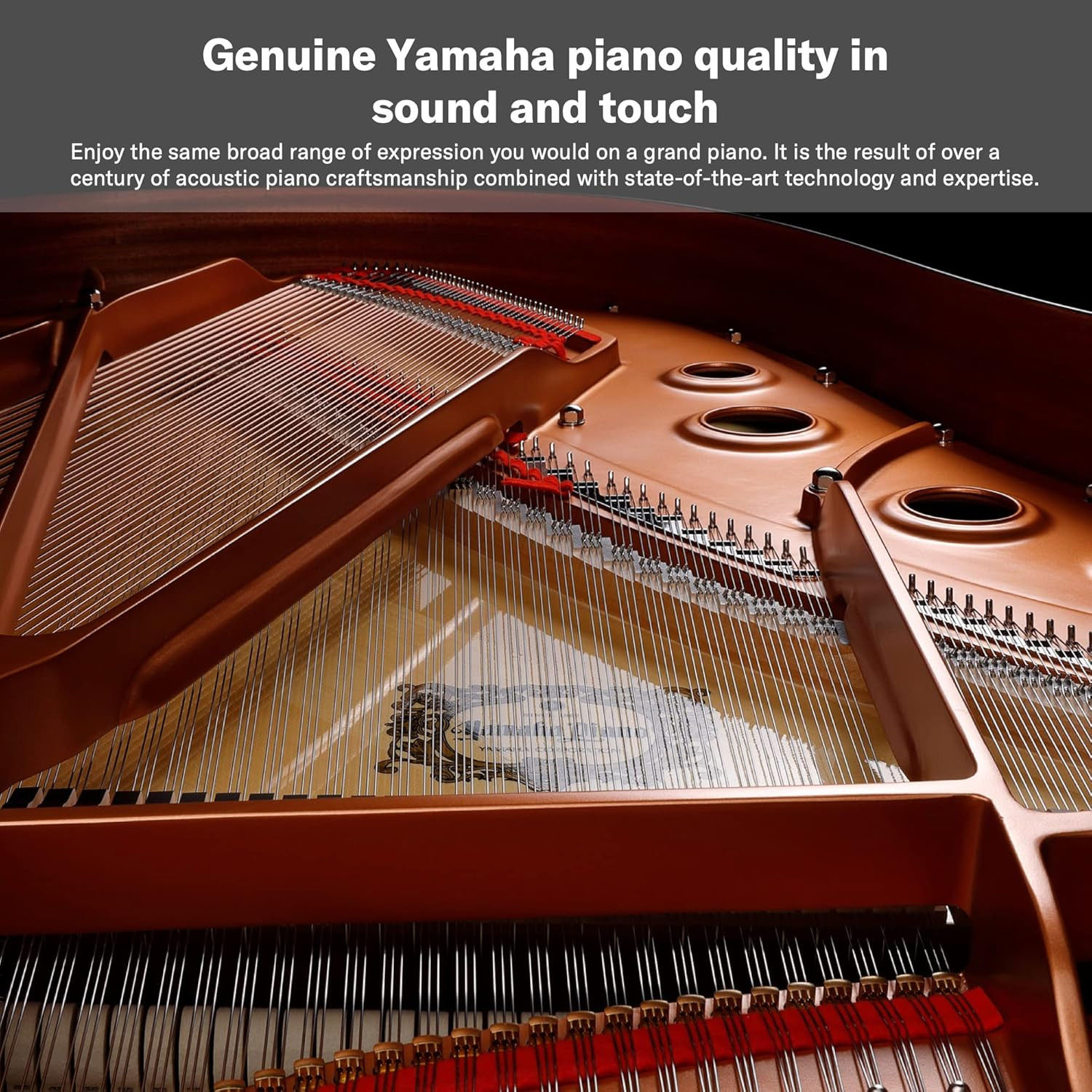 Yamaha P-125AB DIGITAL PIANO WITH 88