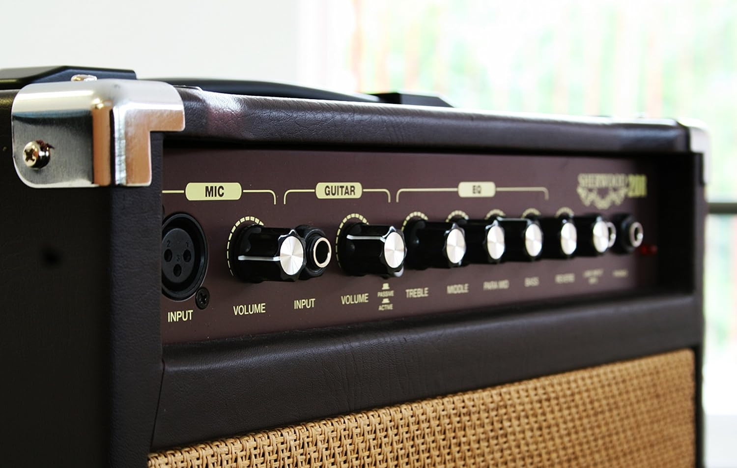 Carlsbro Sherwood 20R20watt Acoustic Guitar Combo Amp Reverb