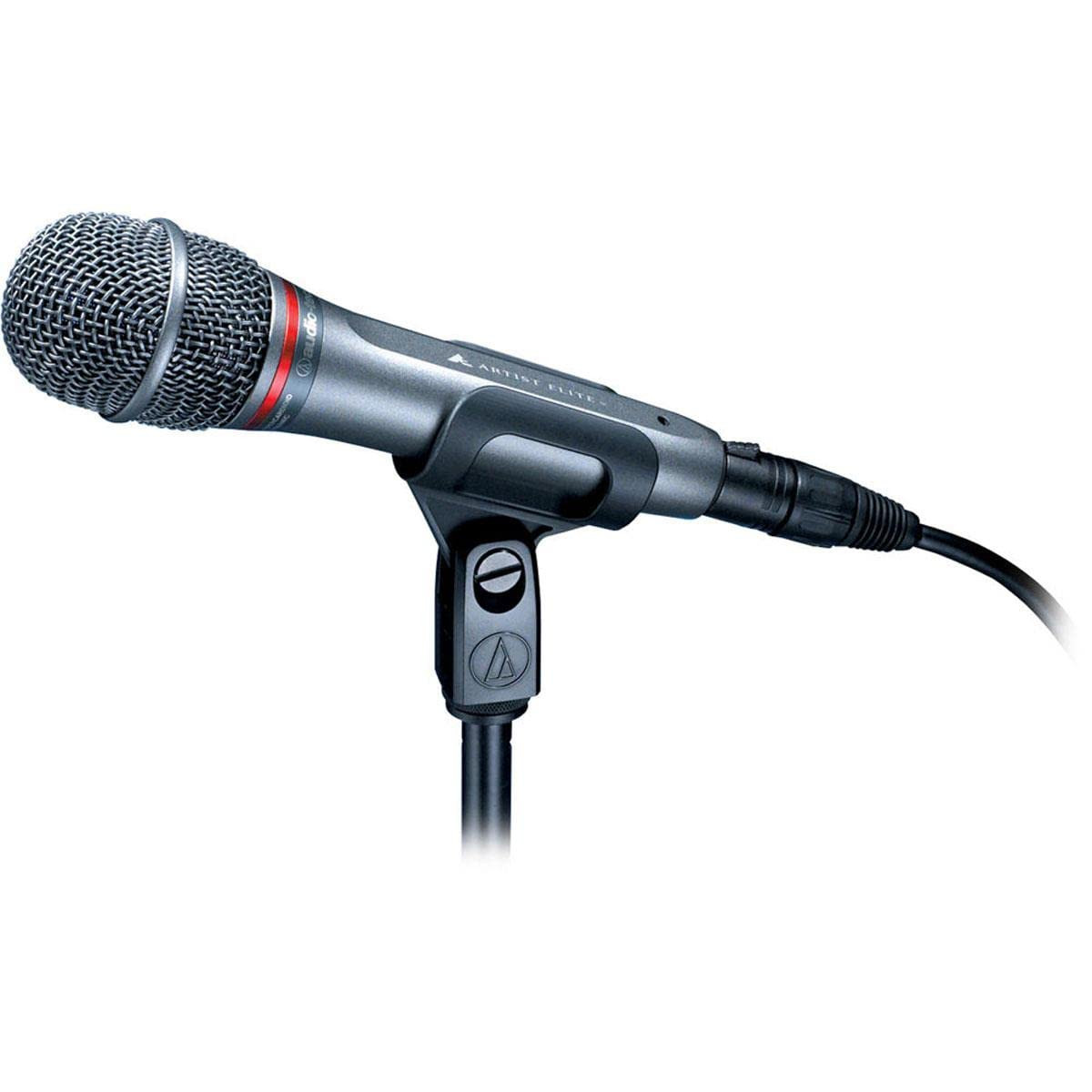 Audio-Technica AE6100 Hypercardioid Dynamic Microphone
