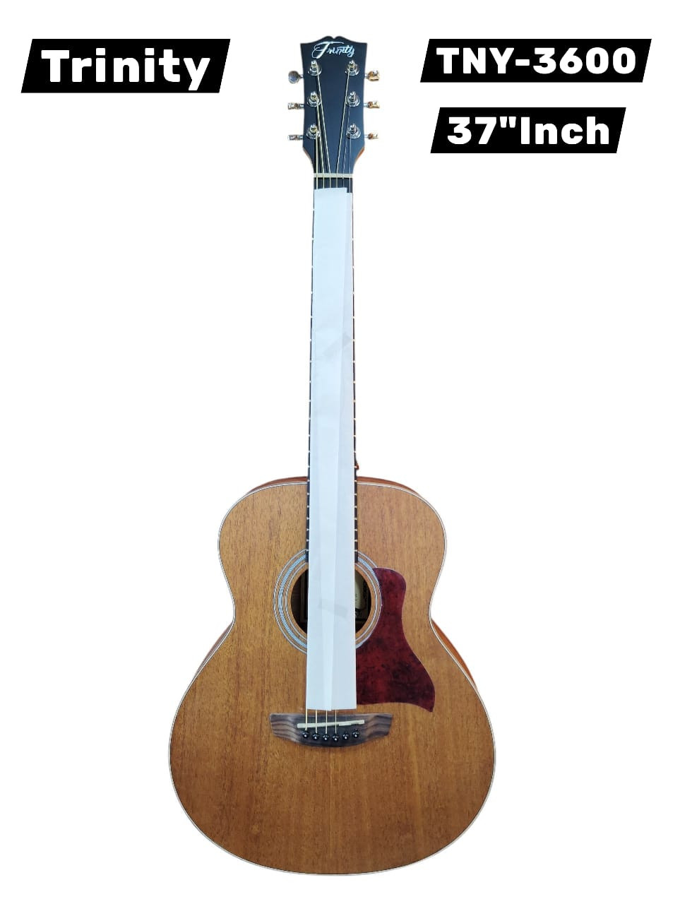 Trinity TNY-3600 MERANTI TOP ACOUSTIC GUITAR SPRUCE TOP 34