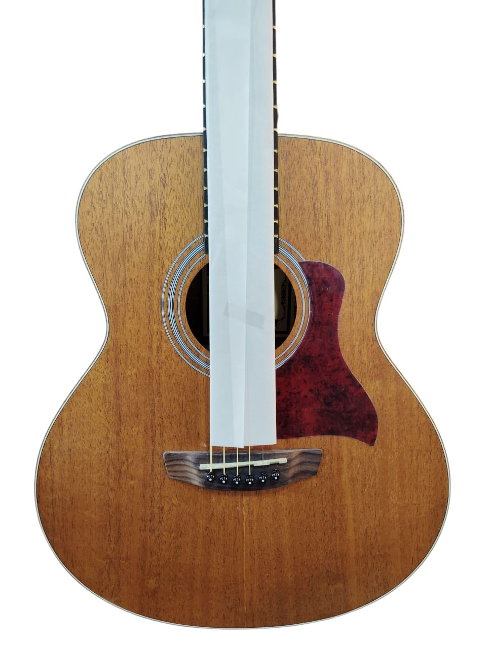 Trinity TNY-3600 MERANTI TOP ACOUSTIC GUITAR SPRUCE TOP 34