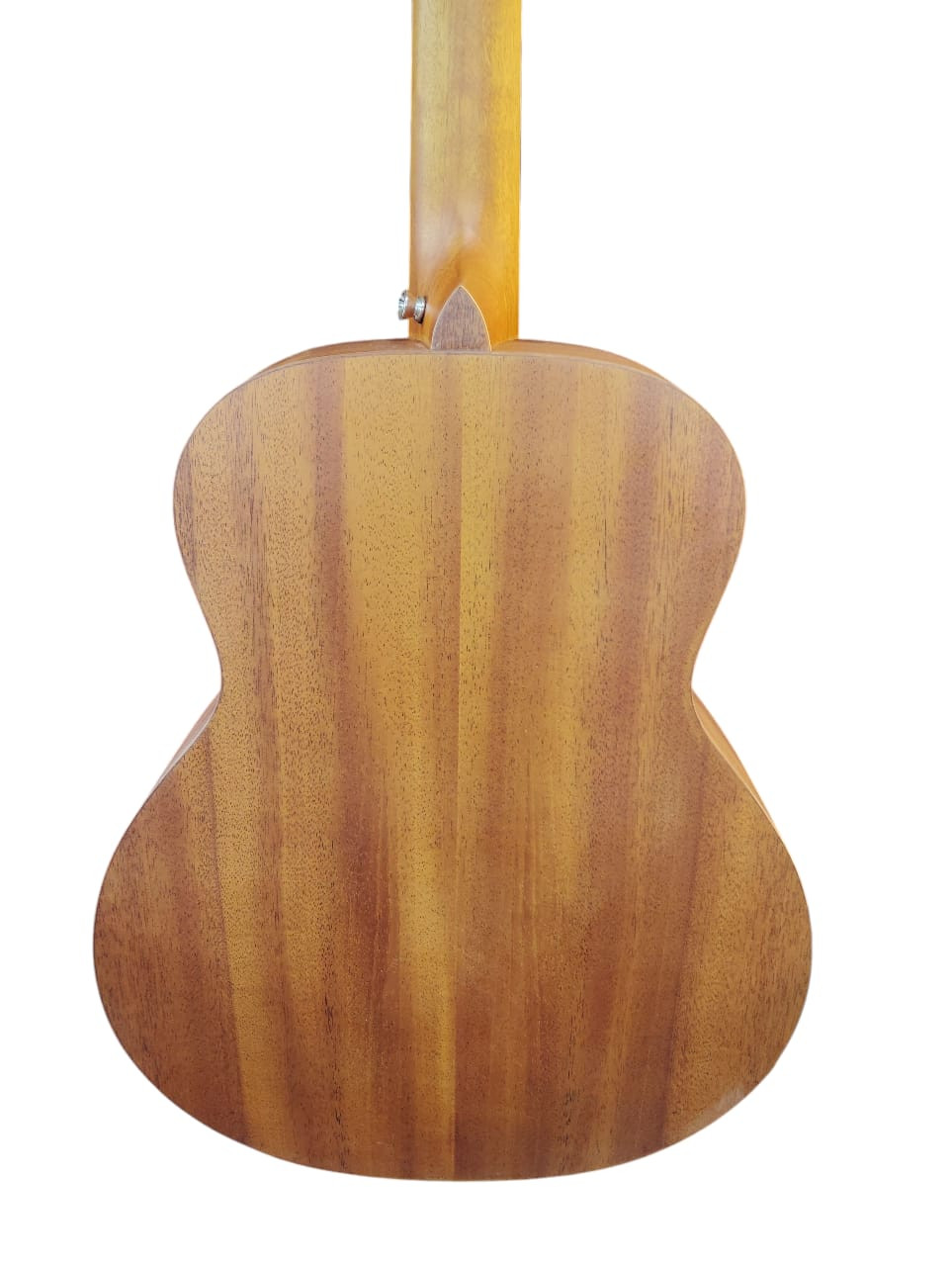 Trinity TNY-3600 MERANTI TOP ACOUSTIC GUITAR SPRUCE TOP 34