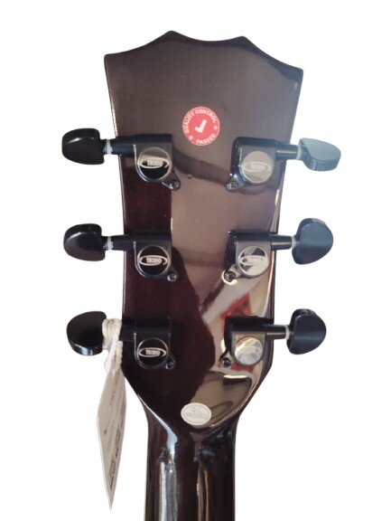 Techno Guitar TM-39CEG TBK with Padded Bag black