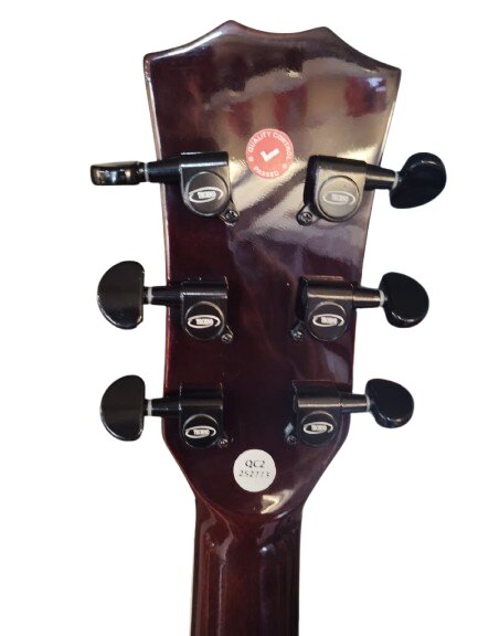 Techno Guitar TM-40CG Natural with Padded Bag white