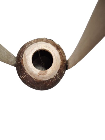 Original 1 Stringed Coco Ektara Folk Musical Instrument