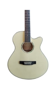 Techno Guitar TM-40CG Natural with Padded Bag Natural