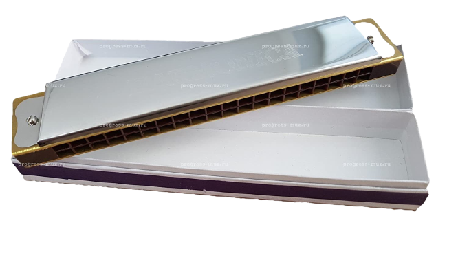Swan SW20- Mouth OrganHarmonica 20 Holes