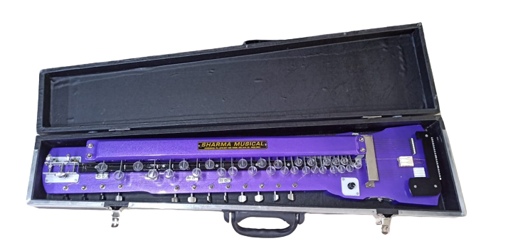 Professional Electric Banjo With 29 Key 18 String 2 Base1 Tone2 Pickup With Protective Hard Case Blue Colour