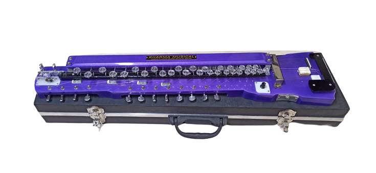 Professional Electric Banjo With 29 Key 18 String 2 Base1 Tone2 Pickup With Protective Hard Case Blue Colour