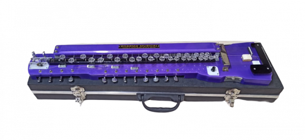 Image of Professional Electric Banjo With 29 Key /18 String, 2 Base,1 Tone,2 Pickup With Protective Hard Case( Blue Colour)