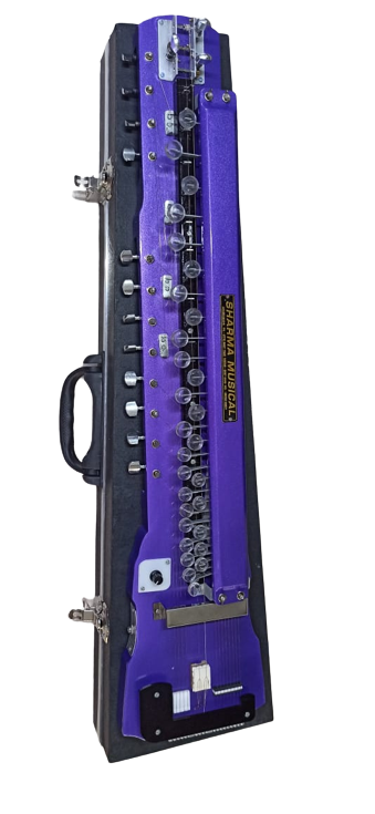 Professional Electric Banjo With 29 Key 18 String 2 Base1 Tone2 Pickup With Protective Hard Case Blue Colour