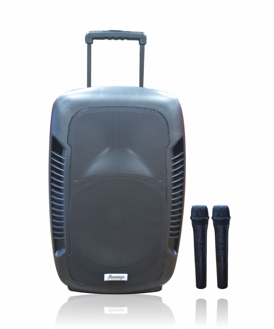 Bass Hunter Trolley Wireless - Bluetooth Amplispeaker 15 inch