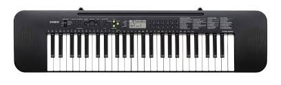 Casio CTK-245 Standard Keyboard - 49 Keys