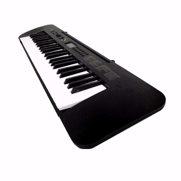 Casio CTK-245 Standard Keyboard - 49 Keys
