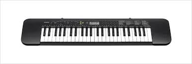 Casio CTK-245 Standard Keyboard - 49 Keys