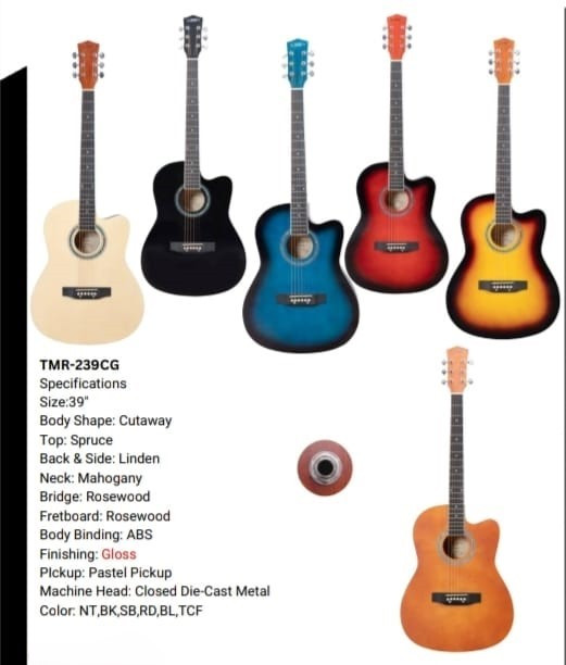 Techno Semi- Acoustic Guitar TMR-239CG with Padded Bag Sunburst
