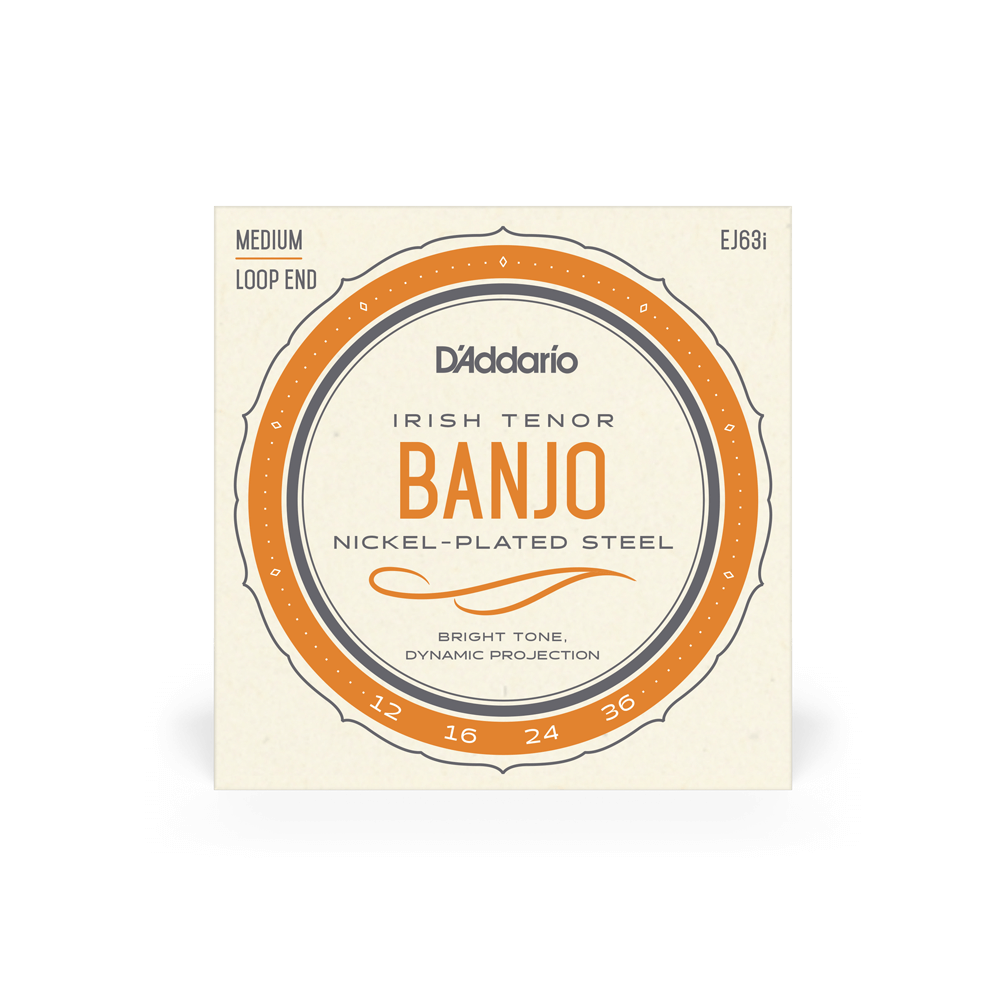 DADDARIO EJ63I SET TENOR BANJO IRISH NICKEL