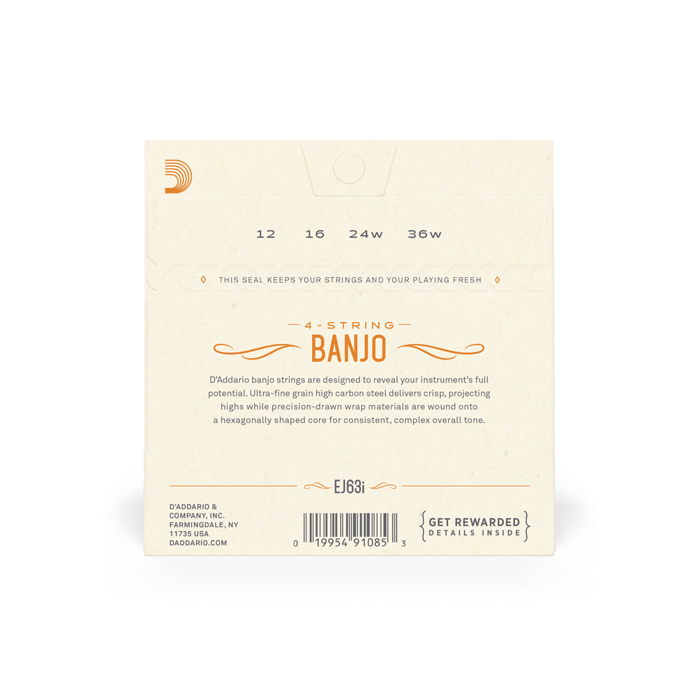 DADDARIO EJ63I SET TENOR BANJO IRISH NICKEL