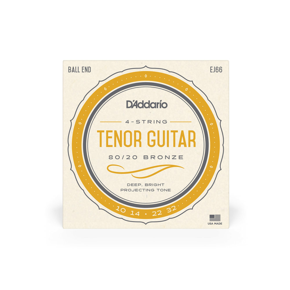 DADDARIO EJ66 SET TENOR GTR 8020 BRONZE