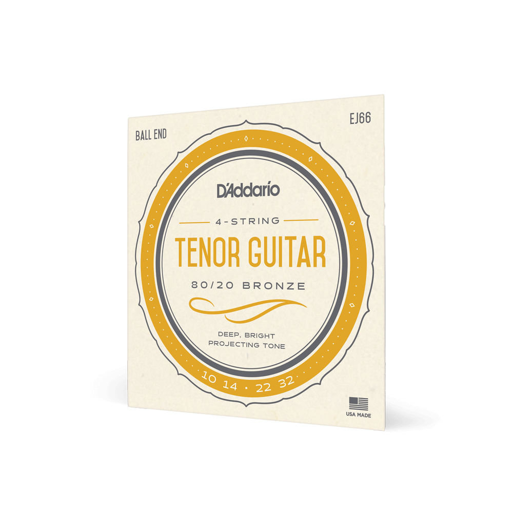 DADDARIO EJ66 SET TENOR GTR 8020 BRONZE