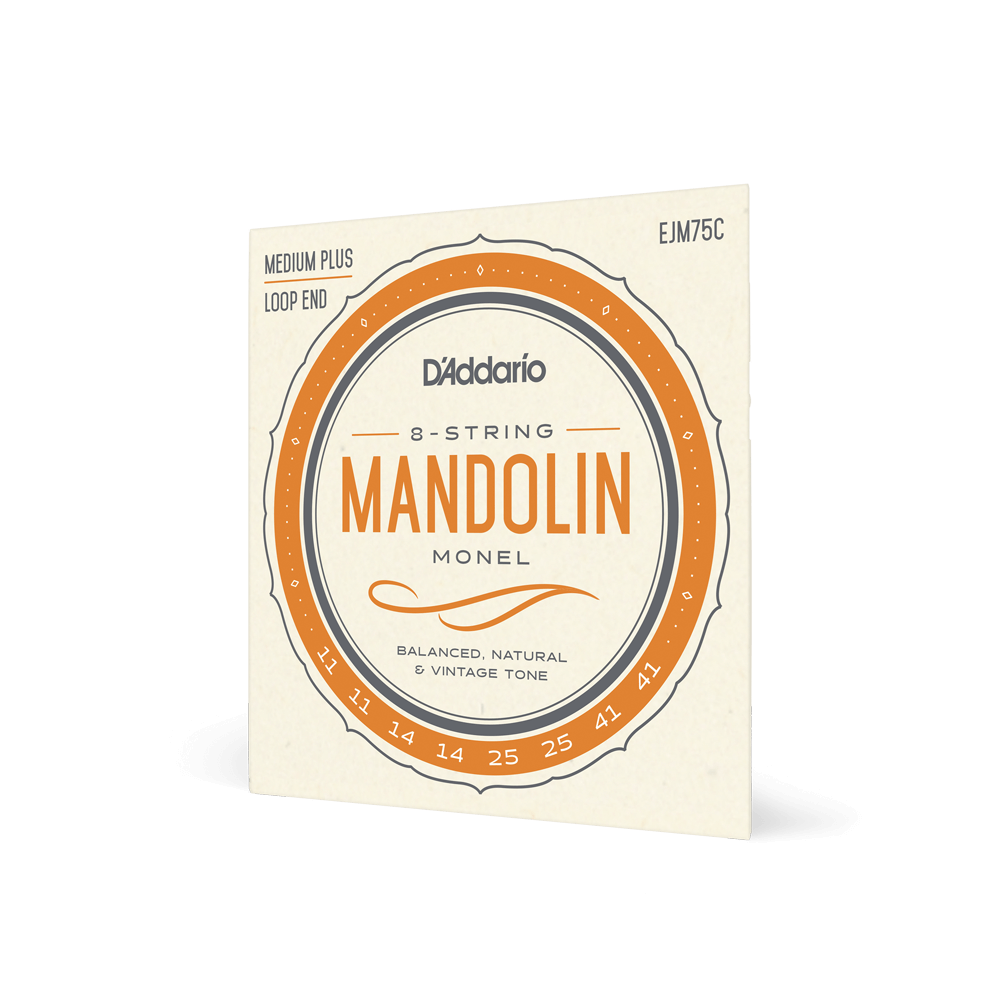 DADDARIO EJM75C SET MANDOLIN MONEL MED PLUS