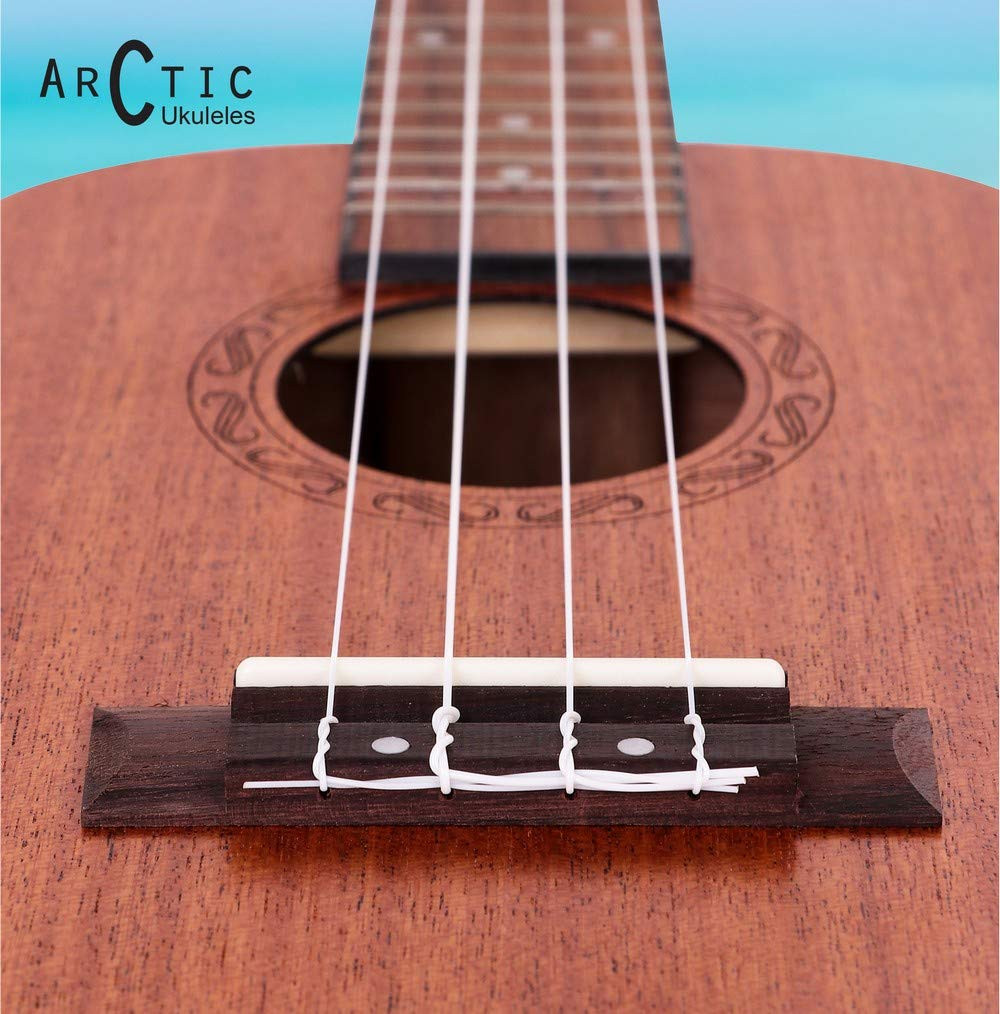 Arctic AC-UK21SPL Concert Ukulele Kit with Bag and String Set Natural