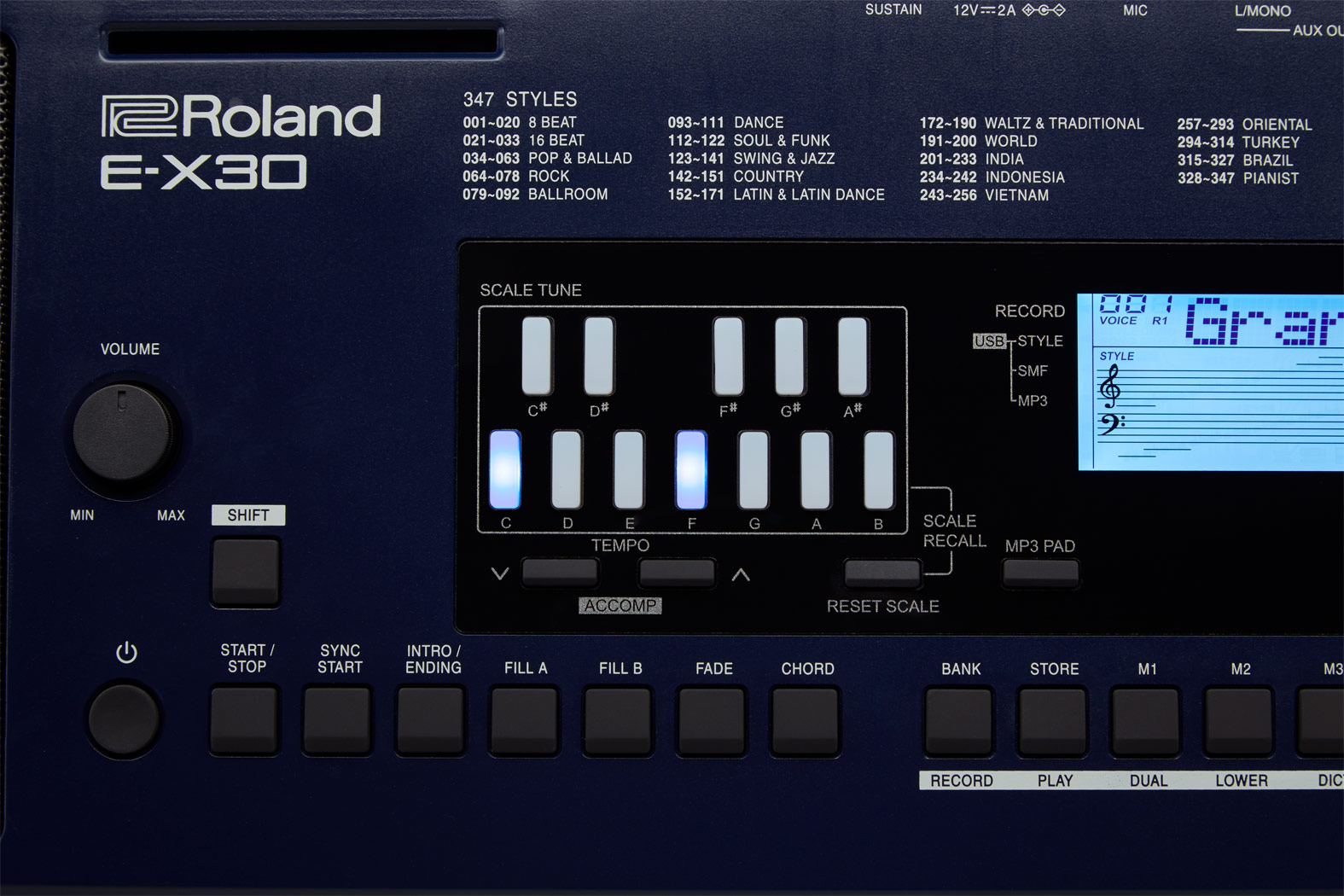 Roland E-X30 Arranger Keyboard 61 keys