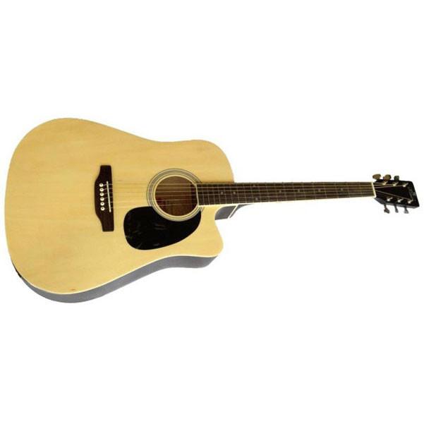 Pluto HW41C - 201 Acoustic Guitar - Natural