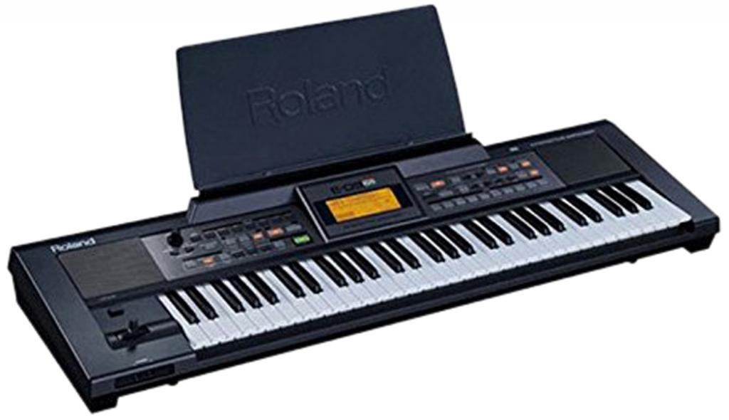 Roland E09IN Indian Edition Interactive Keyboard Arranger with Indian Sound Suite