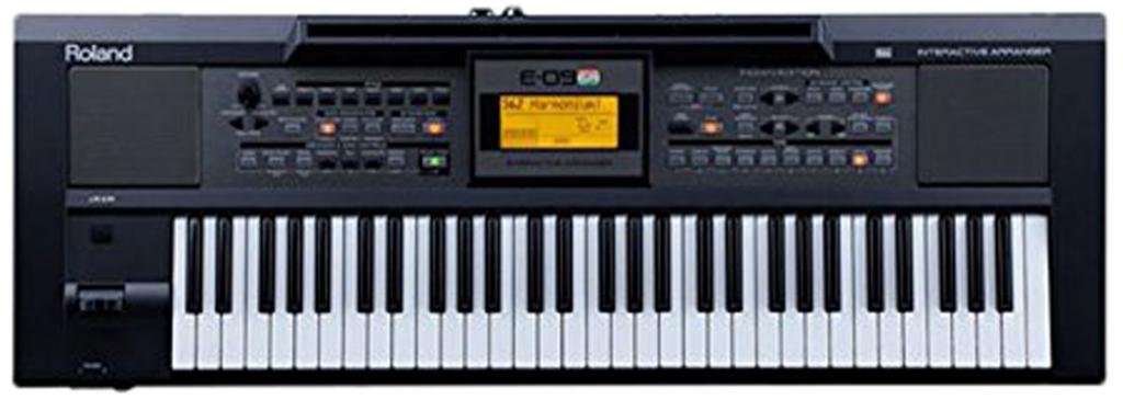 Roland E09IN Indian Edition Interactive Keyboard Arranger with Indian Sound Suite