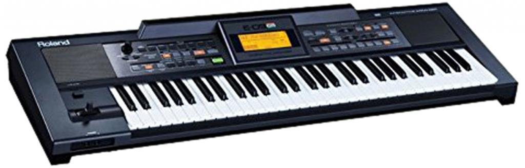 Roland E09IN Indian Edition Interactive Keyboard Arranger with Indian Sound Suite