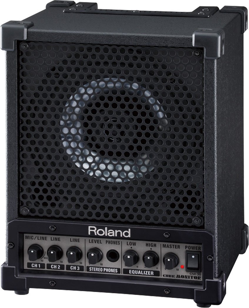 Roland cm 30 Monitor Speaker