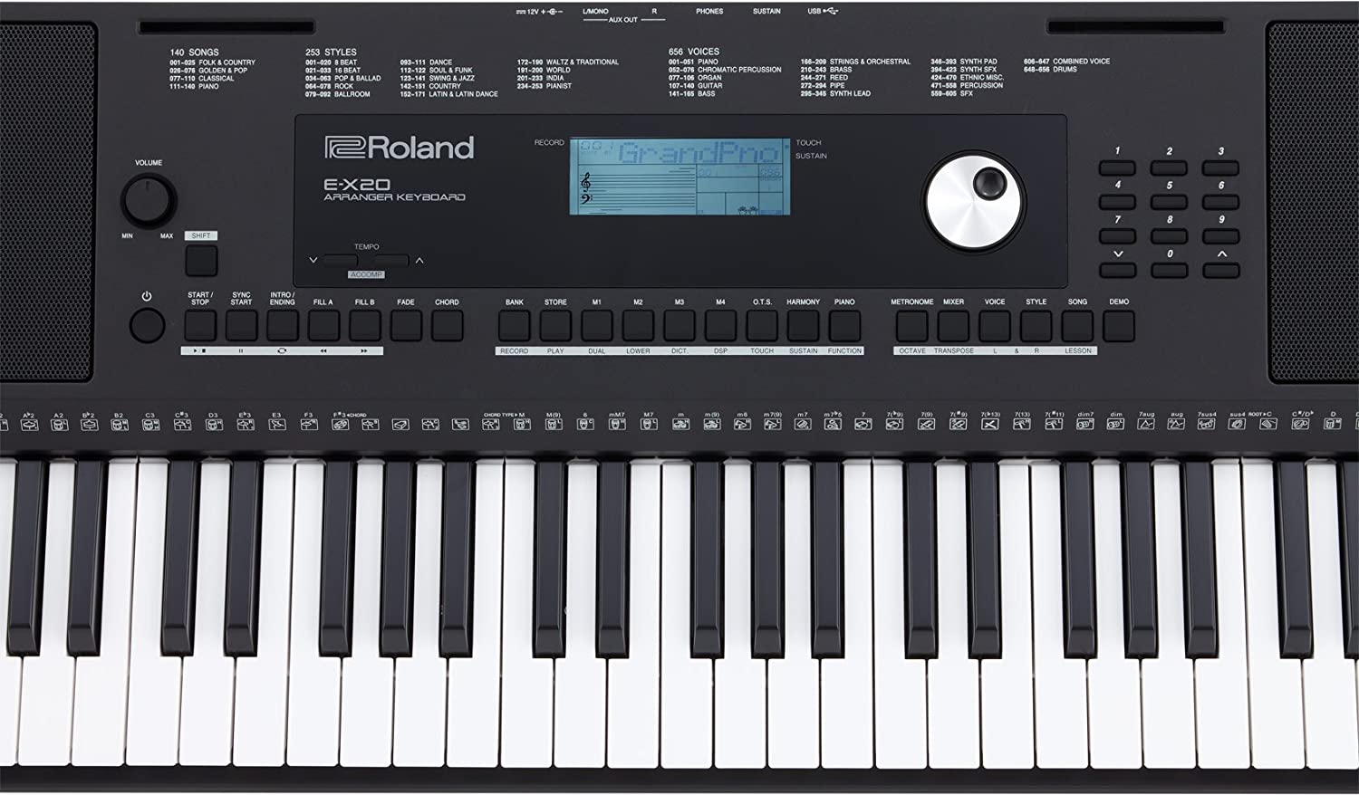 Roland E-X20 Arranger Keyboard with Carry Bag
