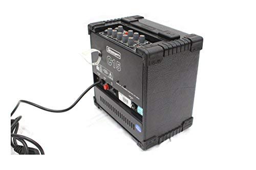 Stranger C15 - GuitarkeyboardBanjo Amplispeaker with delay and distortion effect