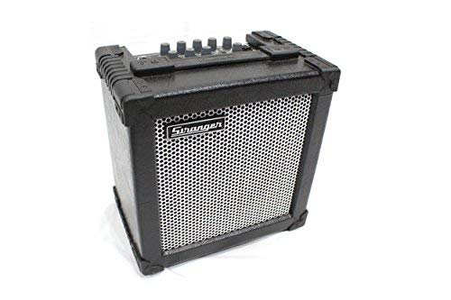 Stranger C15 - GuitarkeyboardBanjo Amplispeaker with delay and distortion effect
