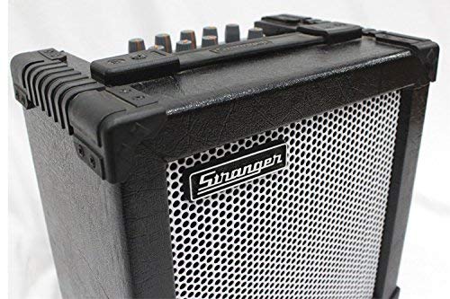 Stranger C15 - GuitarkeyboardBanjo Amplispeaker with delay and distortion effect