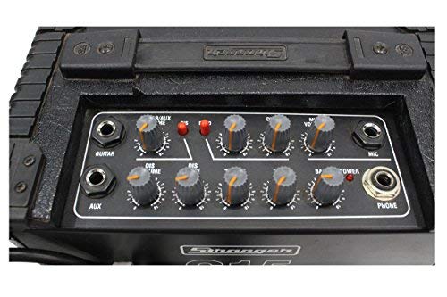 Stranger C15 - GuitarkeyboardBanjo Amplispeaker with delay and distortion effect