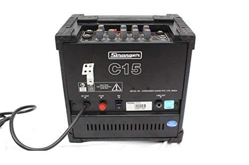Stranger C15 - GuitarkeyboardBanjo Amplispeaker with delay and distortion effect