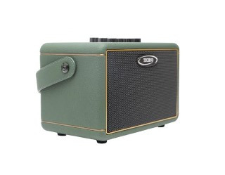 Techno Guitar Amplifier TMA24 Pro Green