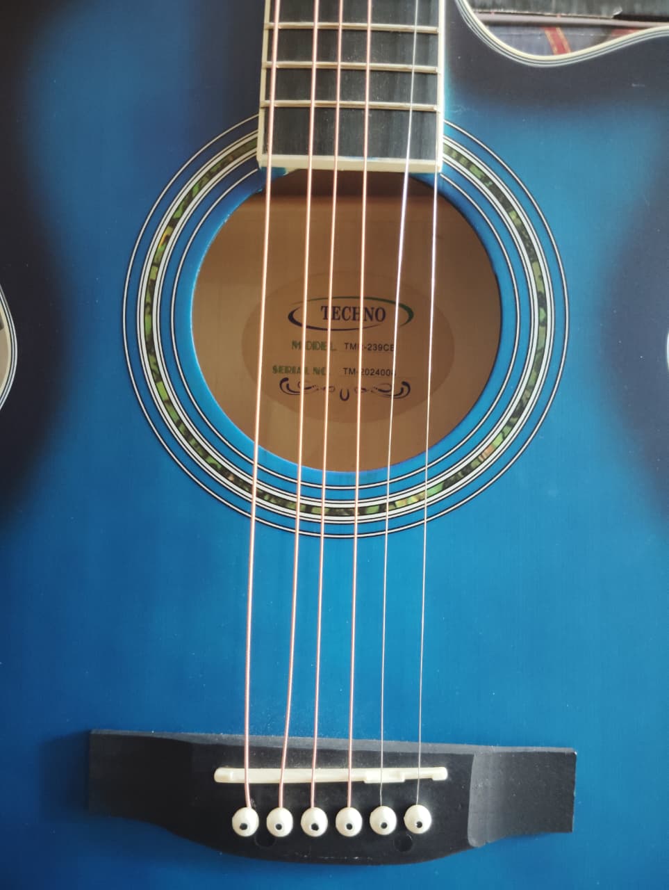 Techno Guitar TMR-239CE Blue with Padded Bag Blue