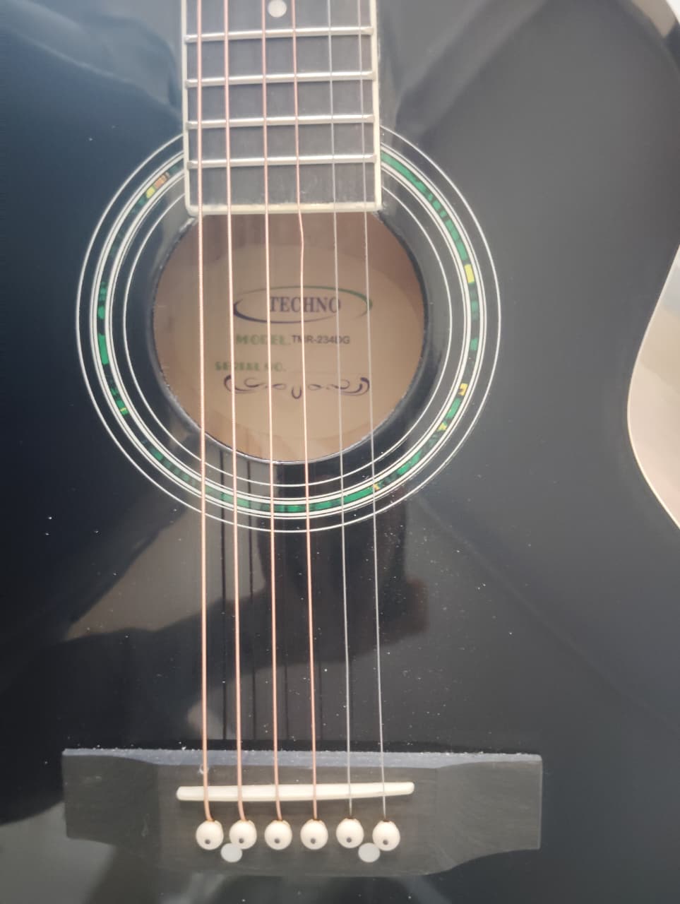 Techno Semi - Acoustic Guitar TMR-234DG with Padded Bag Black