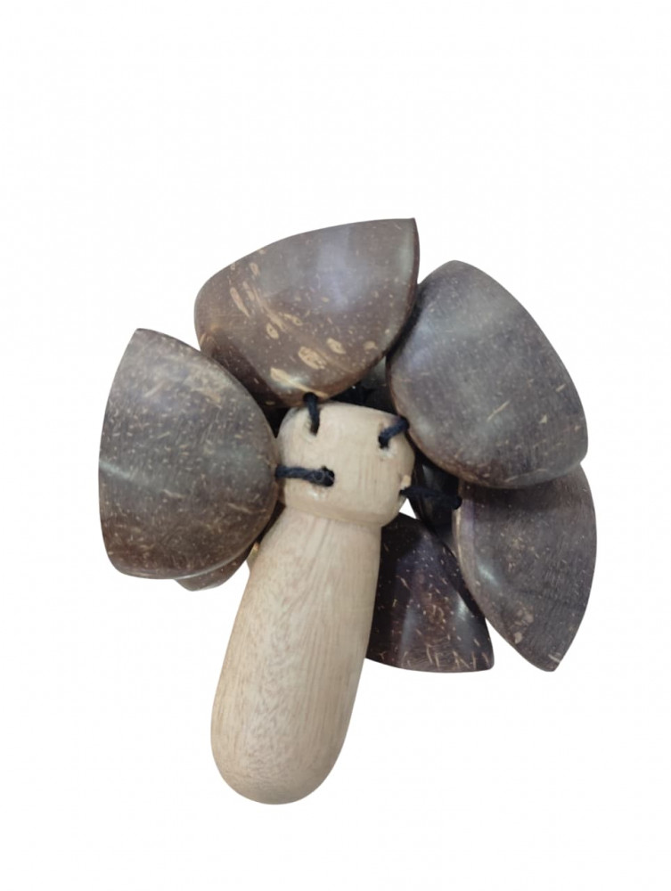 Image of Coco Ghungroo 10 Seeds Coconut Seed Rattle, Coco Ghungroo