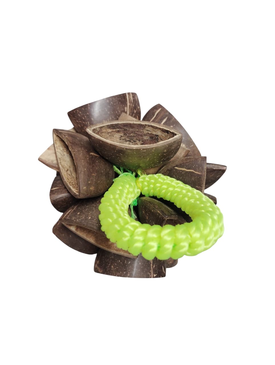 Coco Ghungroo 20 Seeds Coconut Shaker