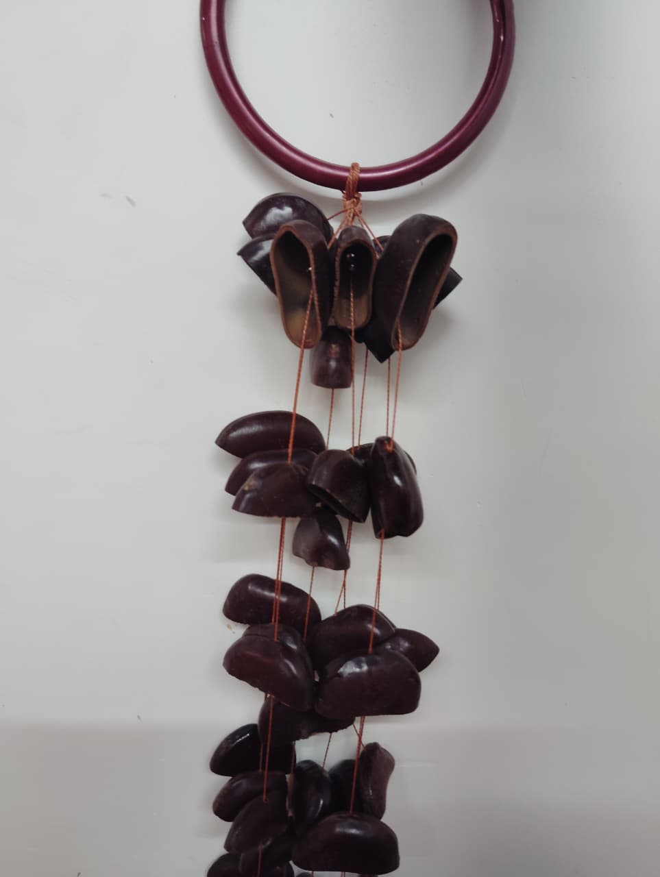 HANDCRAFTED coconut seeds Bendo Seed Water Fall