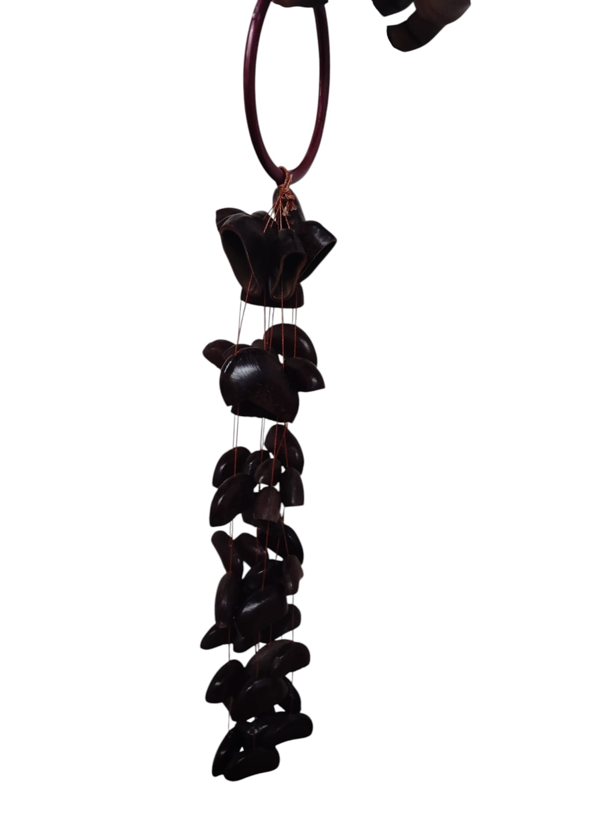 HANDCRAFTED coconut seeds Bendo Seed Water Fall