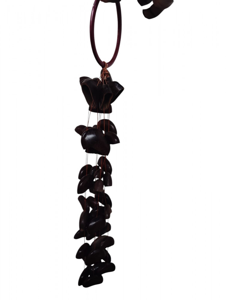 Image of HANDCRAFTED, coconut seeds Bendo Seed Water Fall