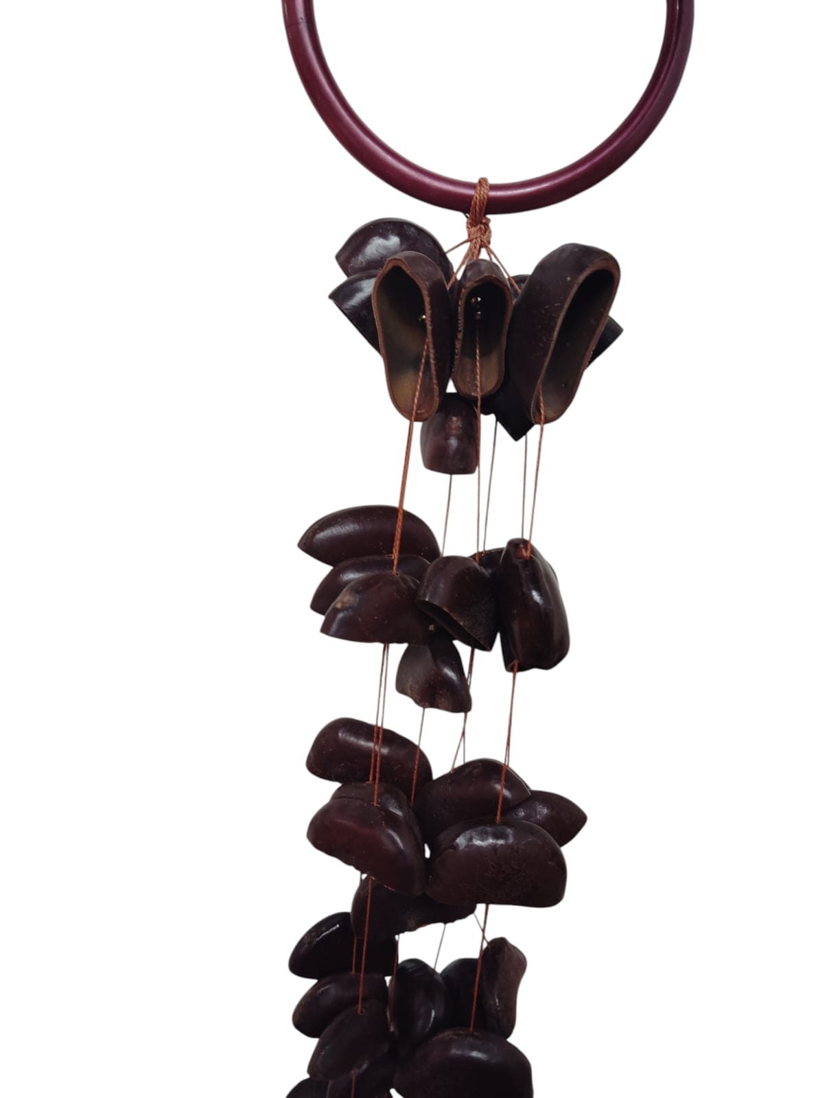 HANDCRAFTED coconut seeds Bendo Seed Water Fall